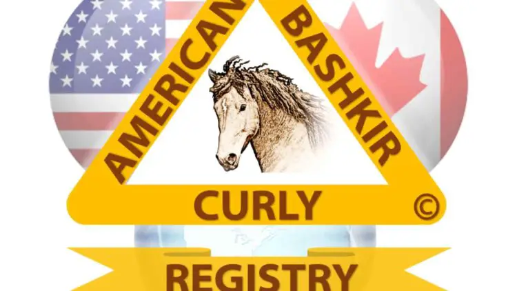 American Bashkir Curly Registry