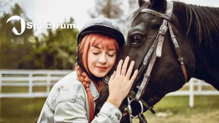 The Art of Horse Whispering: Building Trust and Connection